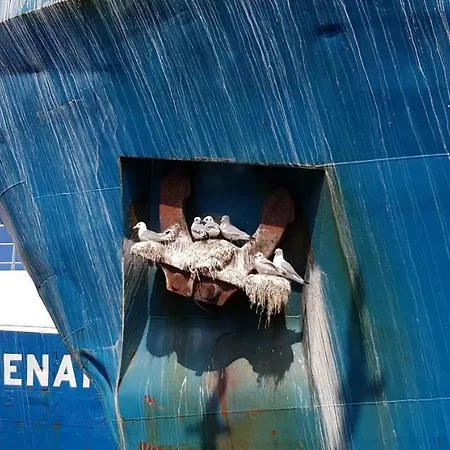 Rorbuer Apartman *